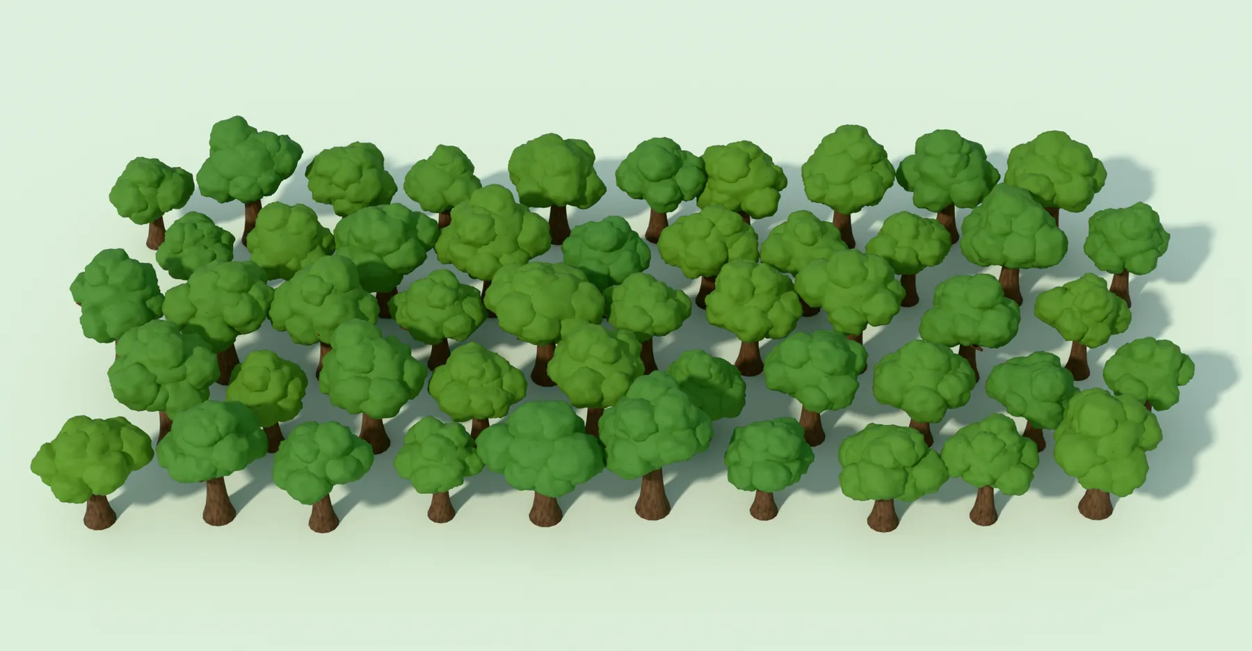 A grove of fifty mature trees, five rows of ten